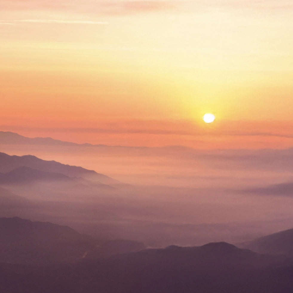 جراب Edge لسلسلة Samsung Galaxy S26